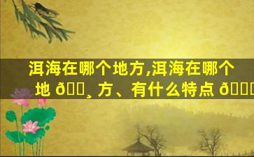 洱海在哪个地方,洱海在哪个地 🕸 方、有什么特点 💐